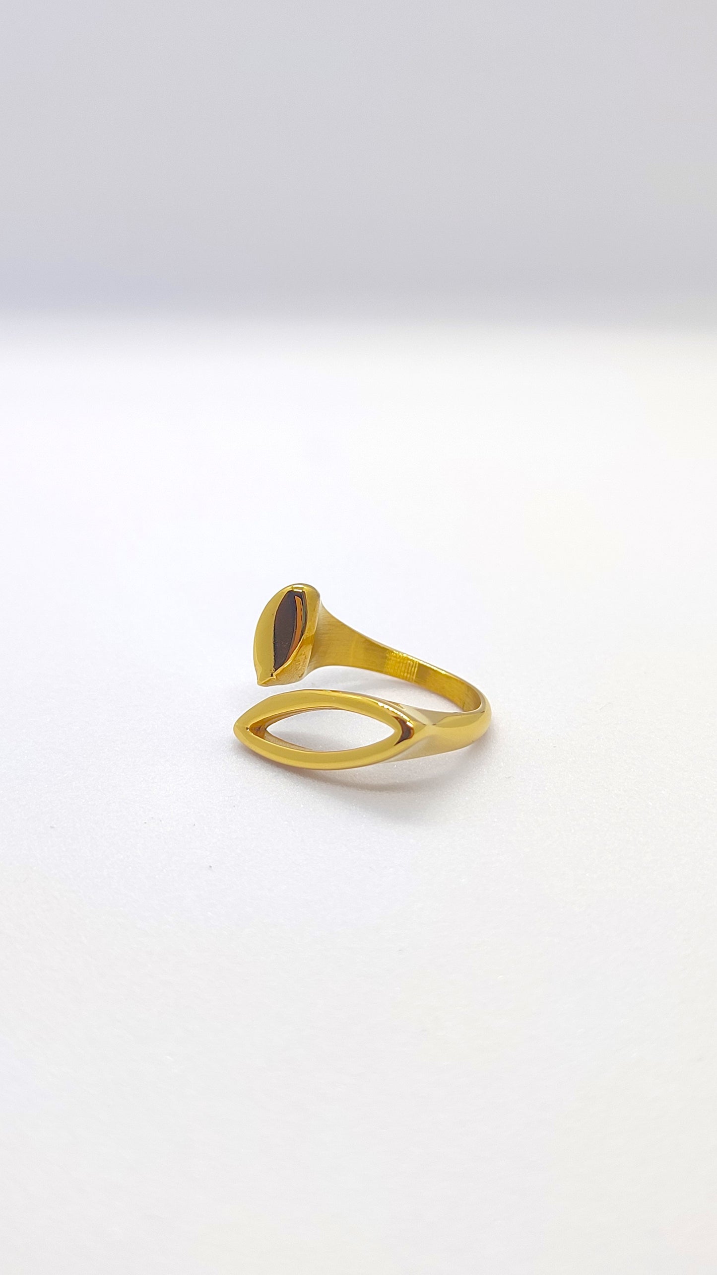 Open Stack Ring