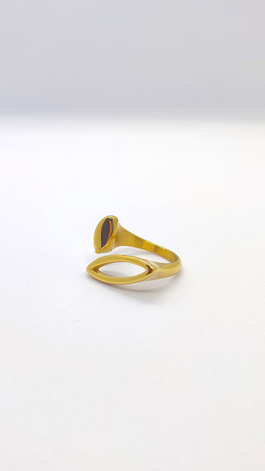 Open Stack Ring